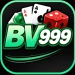 BV999 GAME LOGO