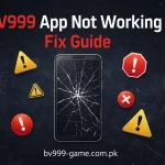 BV999 app error fix guide